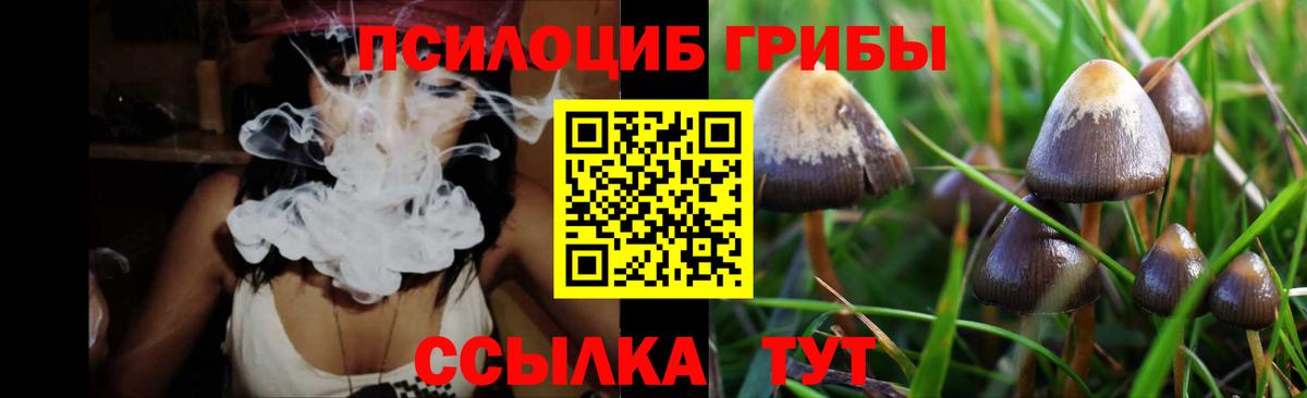 Галлюциногенные грибы Psilocybe  Псилоцибиновые грибы Magic Shrooms  Вход с VPN  Туймазы 